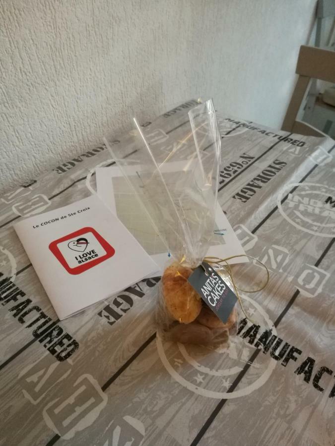 Le Cocon Appart Avec Parking Prive & Terrasse Sainte-Croix-en-Plaine Екстериор снимка