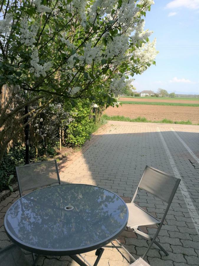 Le Cocon Appart Avec Parking Prive & Terrasse Sainte-Croix-en-Plaine Екстериор снимка